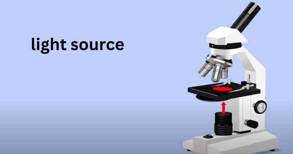 What is a Light Source on a Microscope