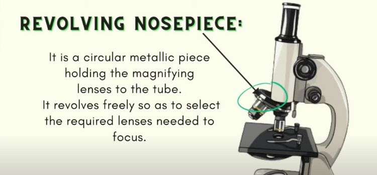 What is the Nosepiece on a microscope