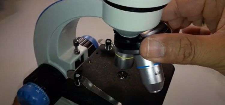 What is the Nosepiece on a microscope?