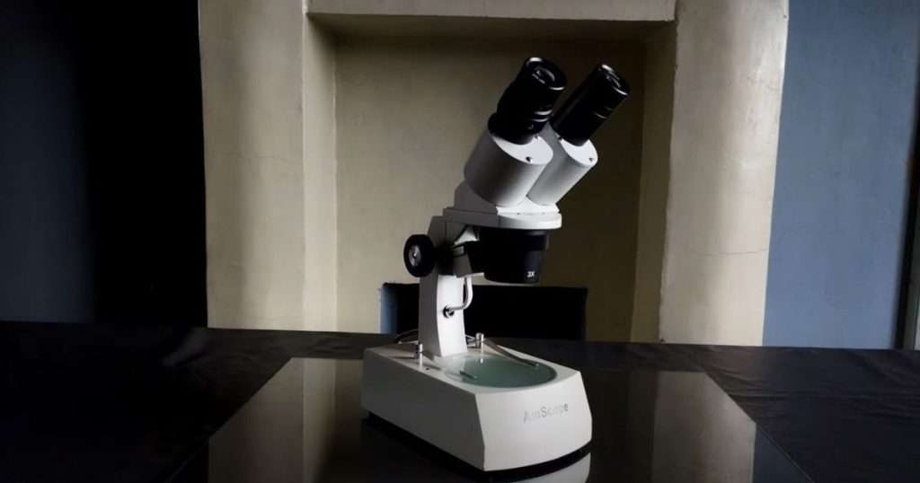 how does a stereo microscope work