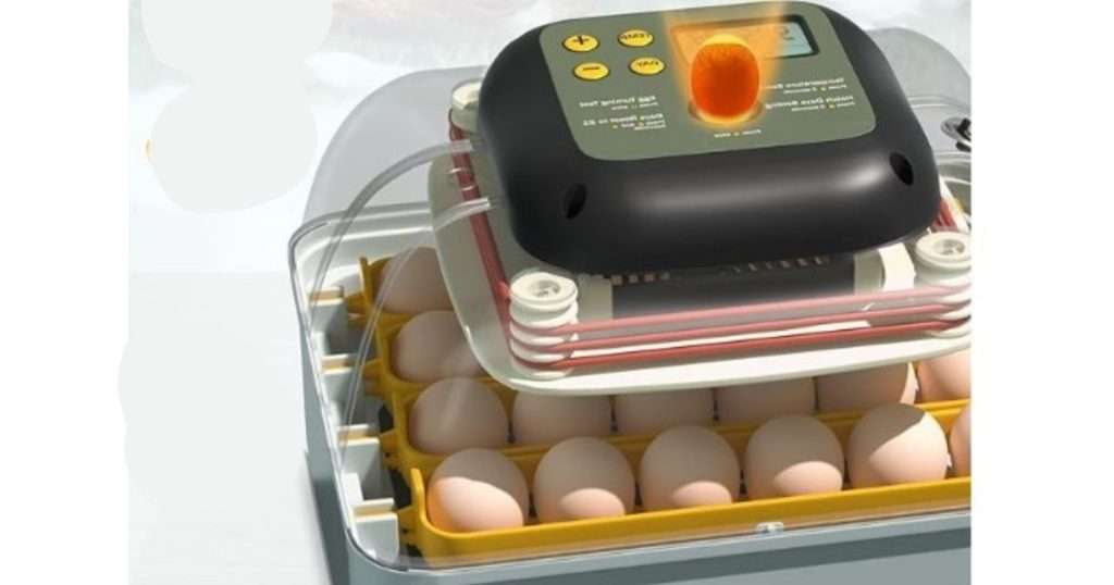 best egg incubators